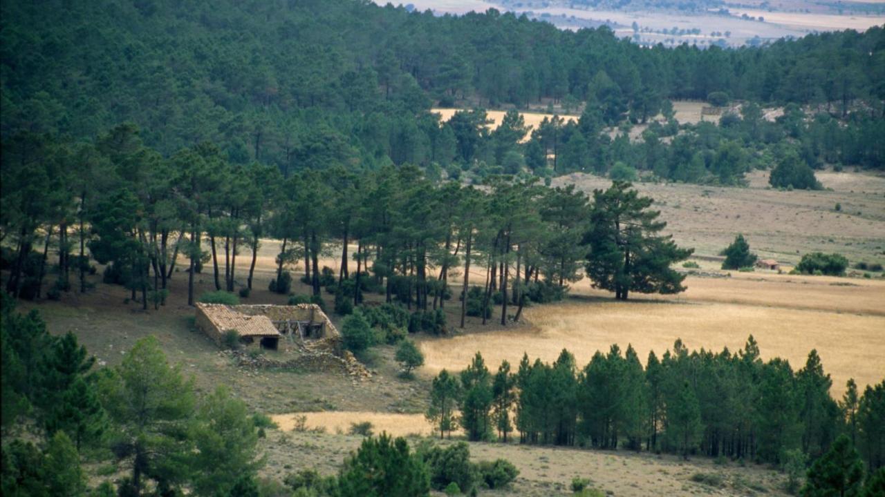 La Casa Grande Talayuelas (Cuenca)